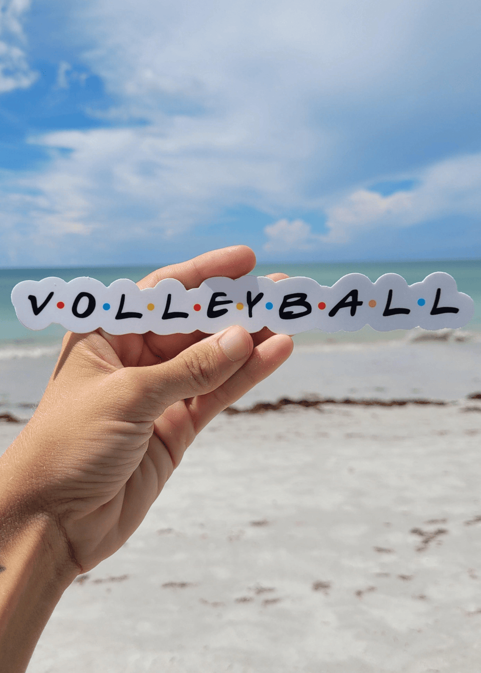 Volleyball Friends